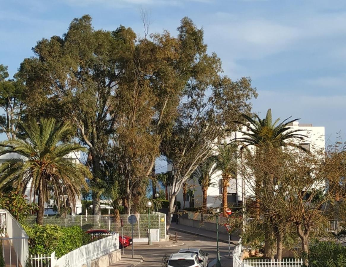 Casa Tritons Villa Port de Alcudia  Eksteriør bilde